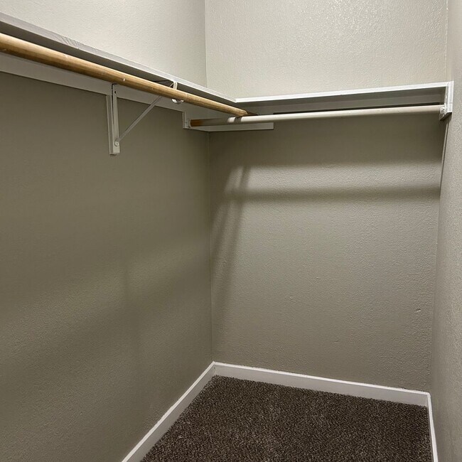 Building Photo - 1217 Armadillo Rd