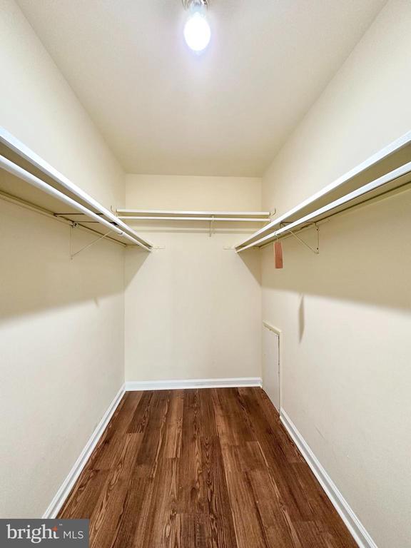 Building Photo - 18722 Paprika Ct