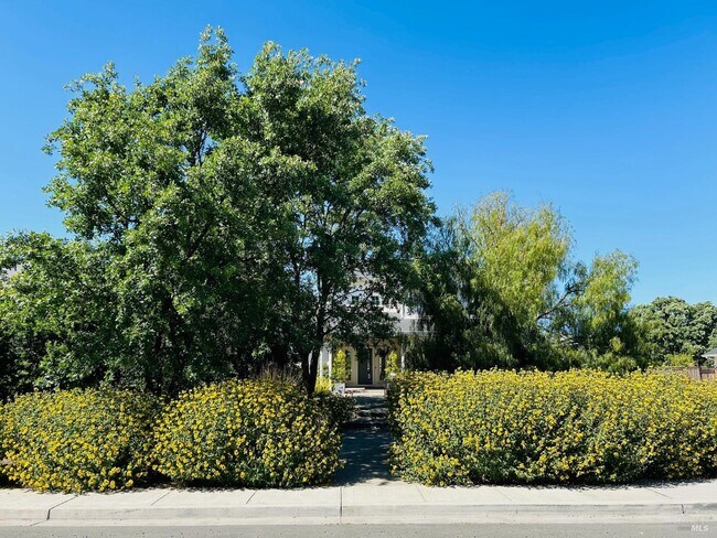 Building Photo - 230 Newcomb St