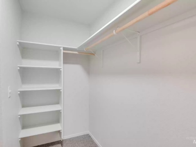 Building Photo - 2523 E Moon Eye Dr