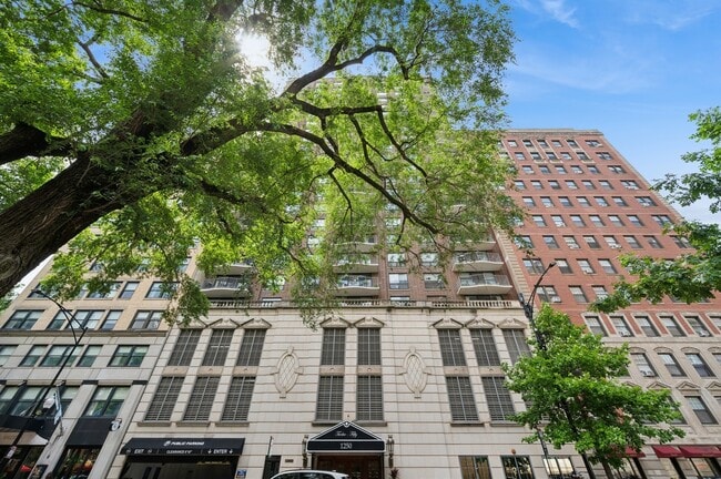 Primary Photo - 1250 N Dearborn St