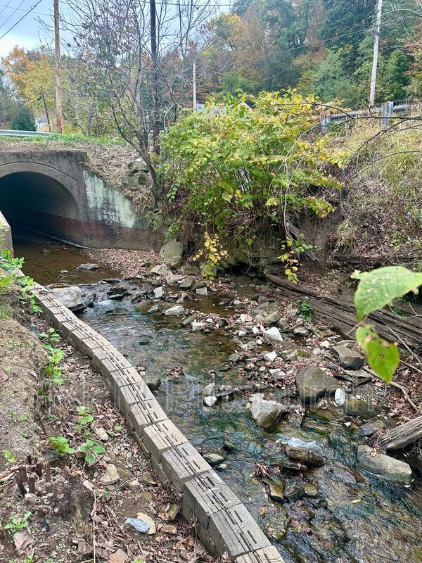 Building Photo - 102 Ivy St