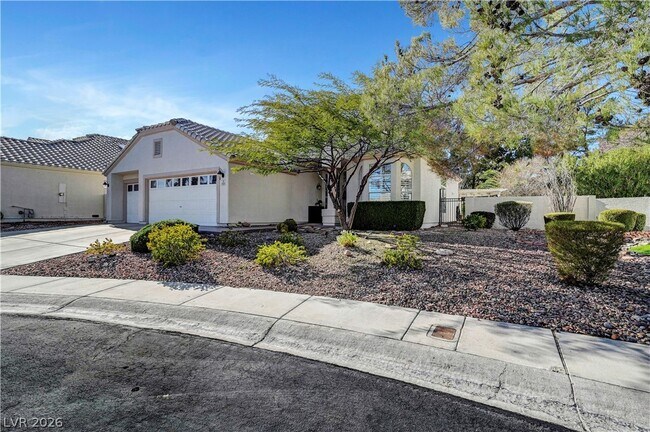 Building Photo - 1405 Sunblush Ln