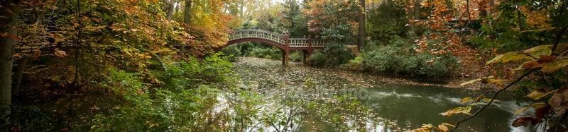 Building Photo - 732 Scotland St