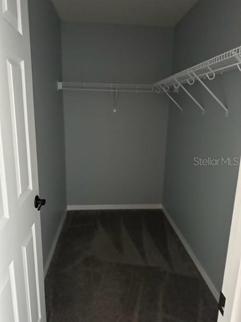 Building Photo - 327 Tanager St