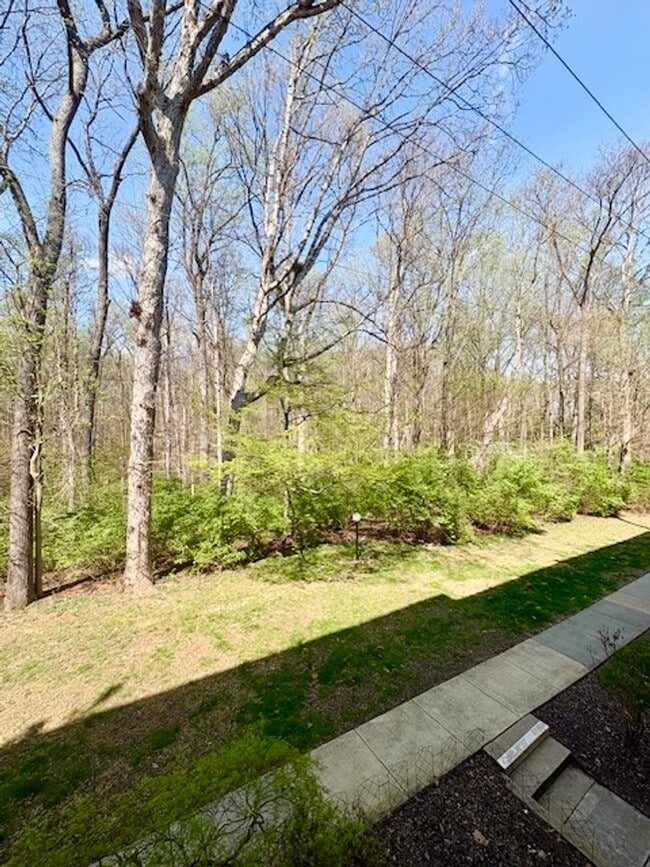 Building Photo - Remodeled 2 BR 1BA in Bethesda. Private front patio. Most utilities included.