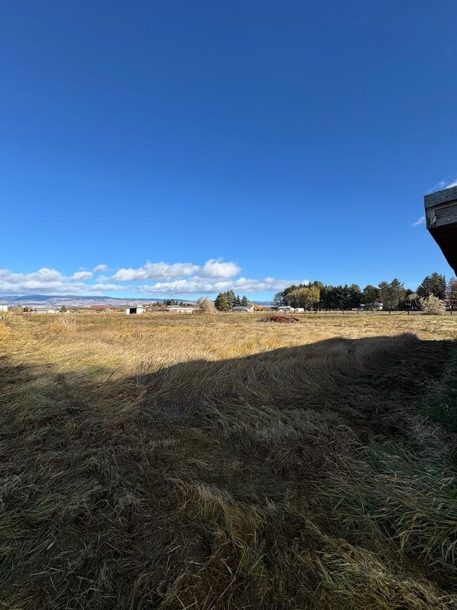 Building Photo - Spacious Pet-Friendly Rental on 3 Acres — ...