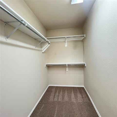 Building Photo - 3033 Stone Forest Cir
