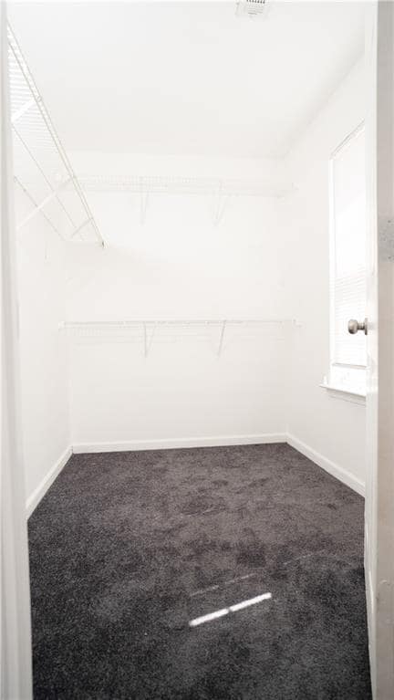 Building Photo - 605 Chase Ln