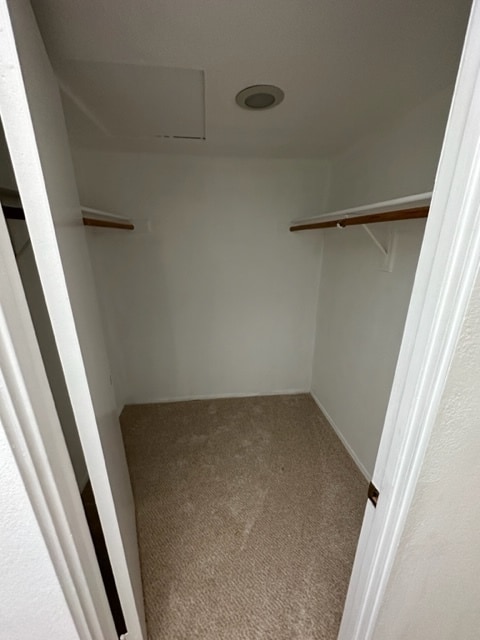 Large walk-in closet for second bedroom - 255 E Avenida Granada