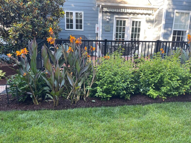 Backyard garden view - 10851 Bedfordtown Dr