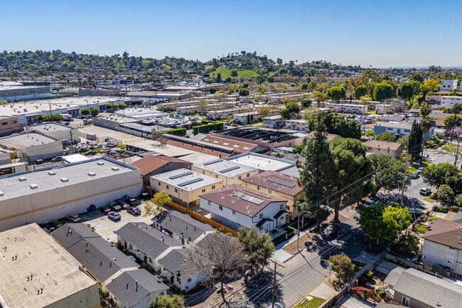 Building Photo - 1652 Murchison St