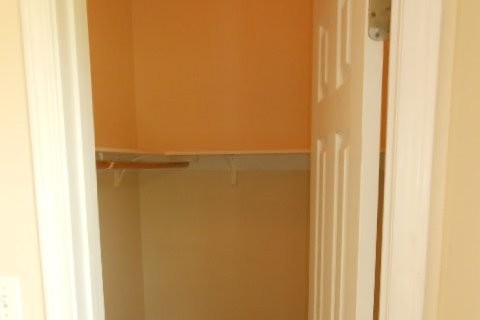 Master Walk-In Closet - 745 N Nicholson Ave
