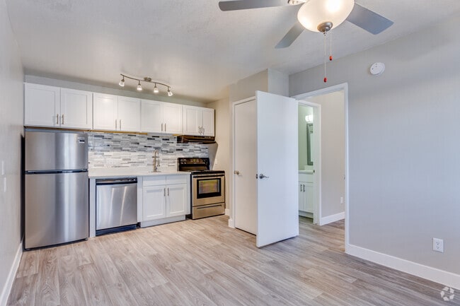 1BR, 1BA - 428SF Platinum - Valencia Park