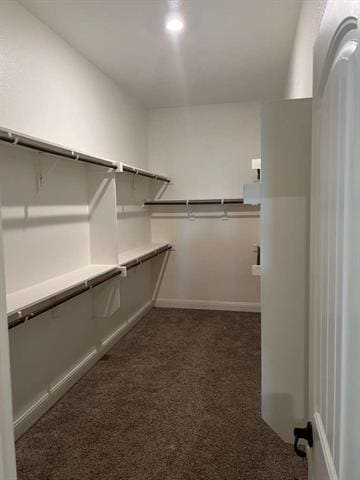 Building Photo - 809 Seymour Ct