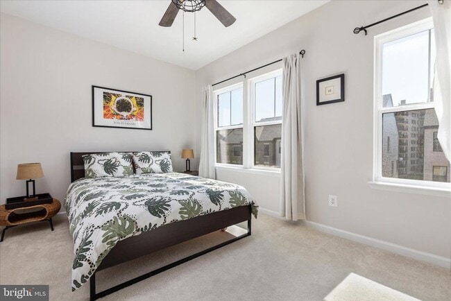 Building Photo - 3538 Stella Blue Dr