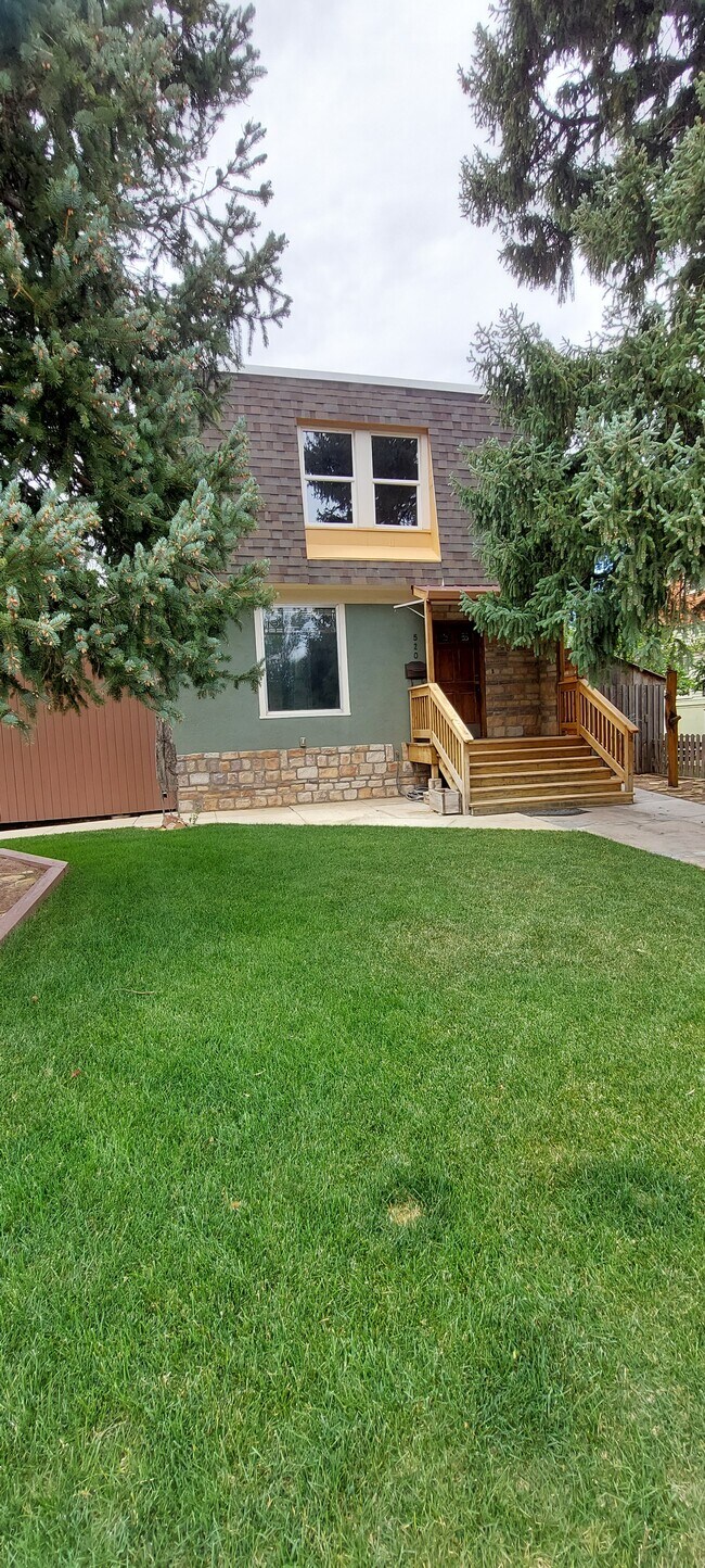 front view and lawn - 520 S 9th St