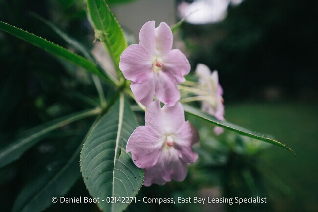 Building Photo - 2141 Ward St