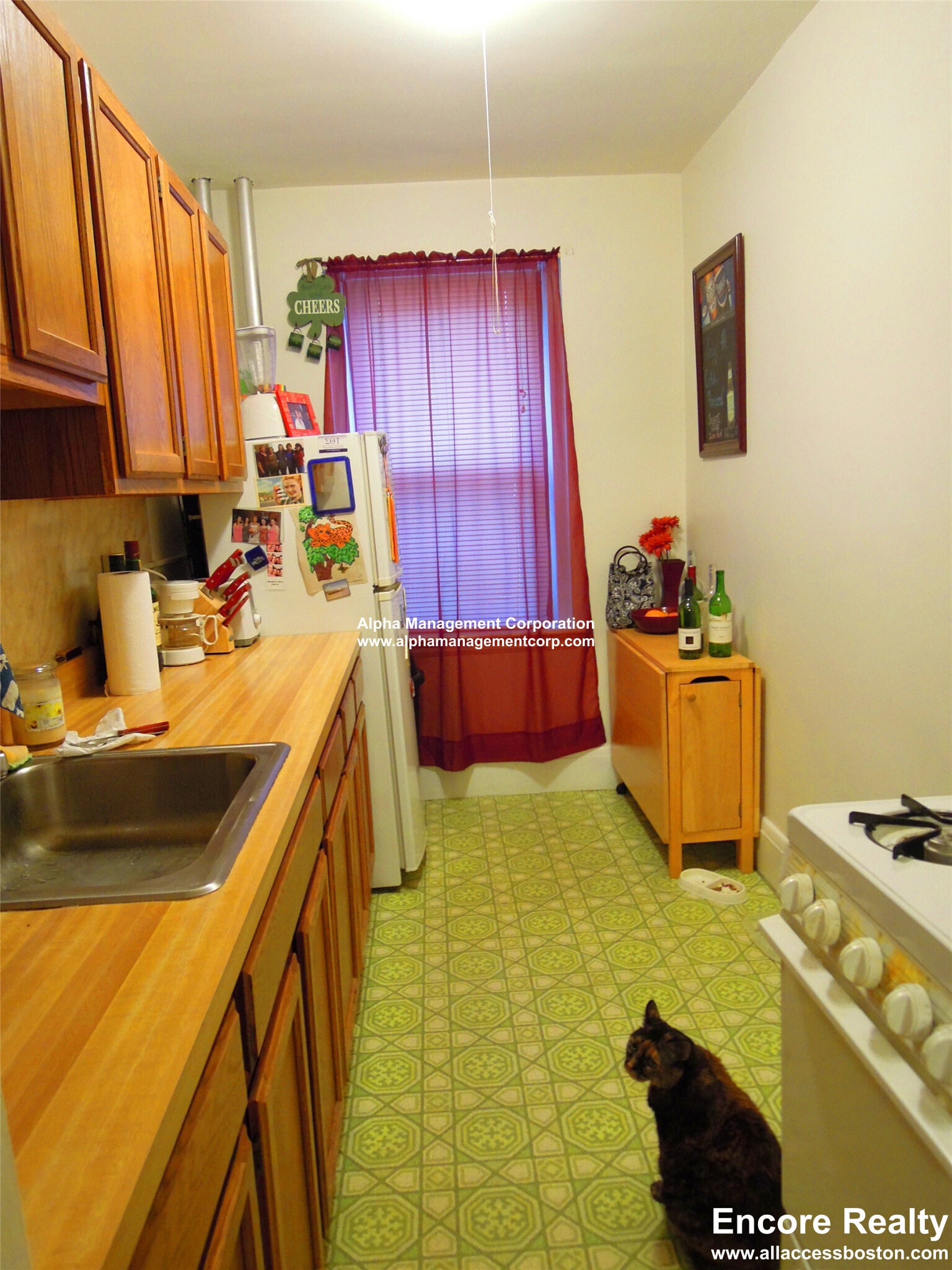 Building Photo - 349 Pleasant St