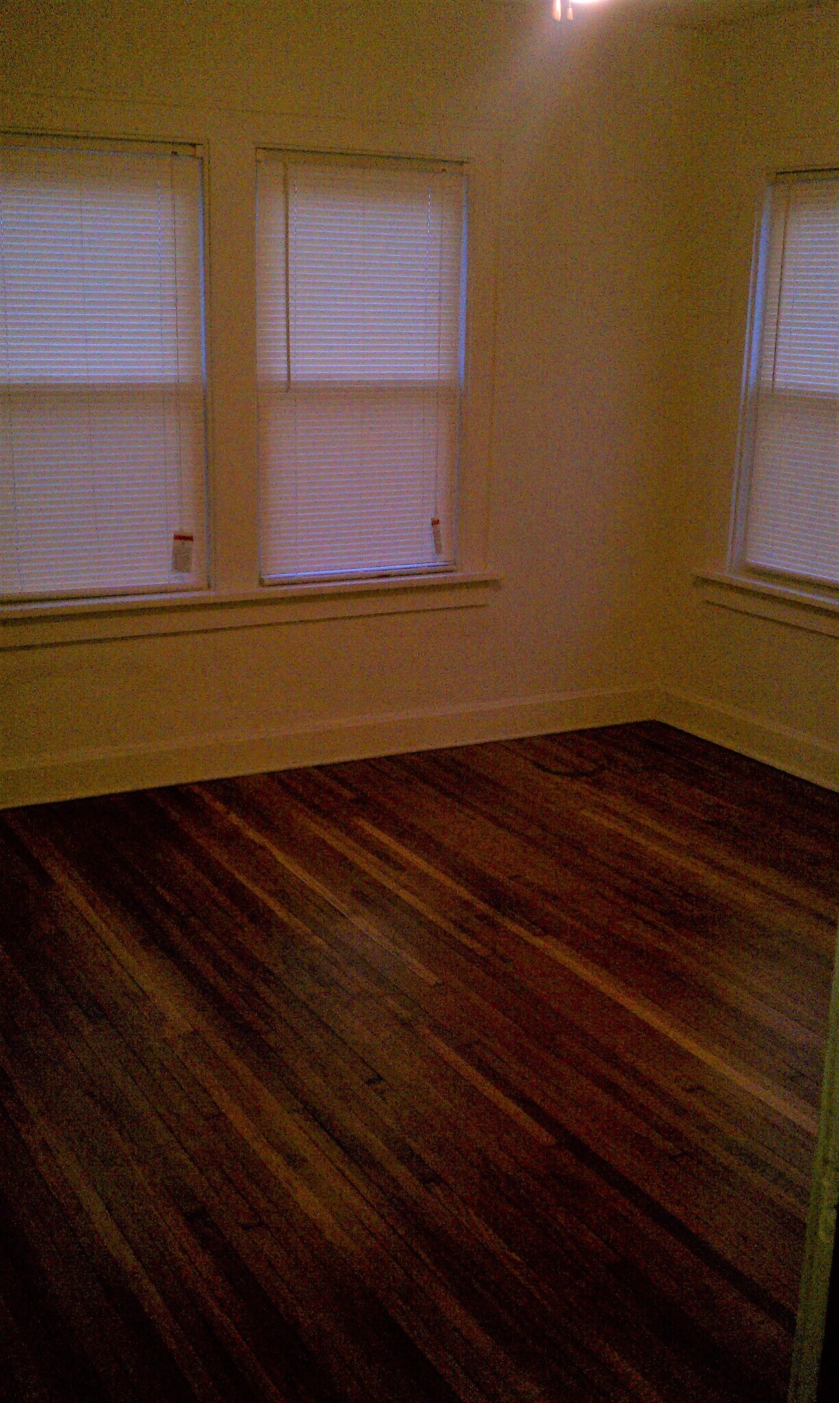 Building Photo - 499 Wyandotte Ave