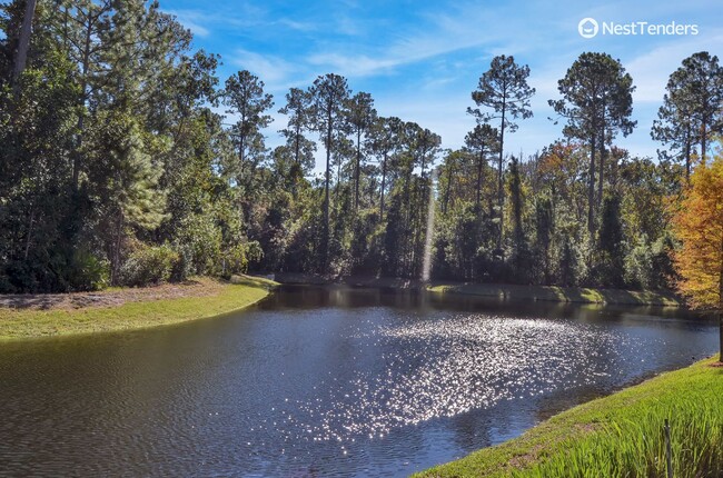 Building Photo - Beautiful End Unit Townhome in Fernandina ...