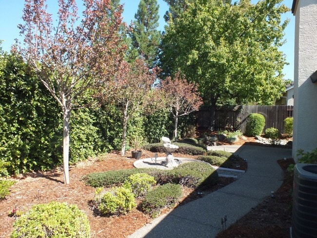 Building Photo - Natomas Station 3/2 ranch style home