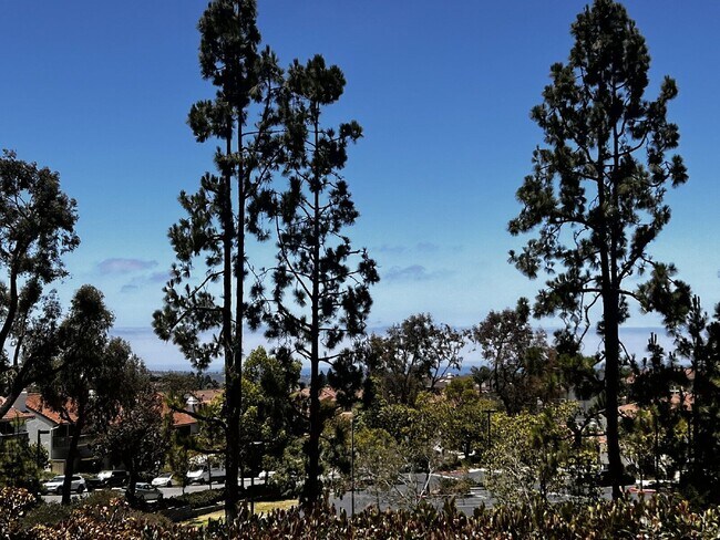 Building Photo - 6991 Ballena Way