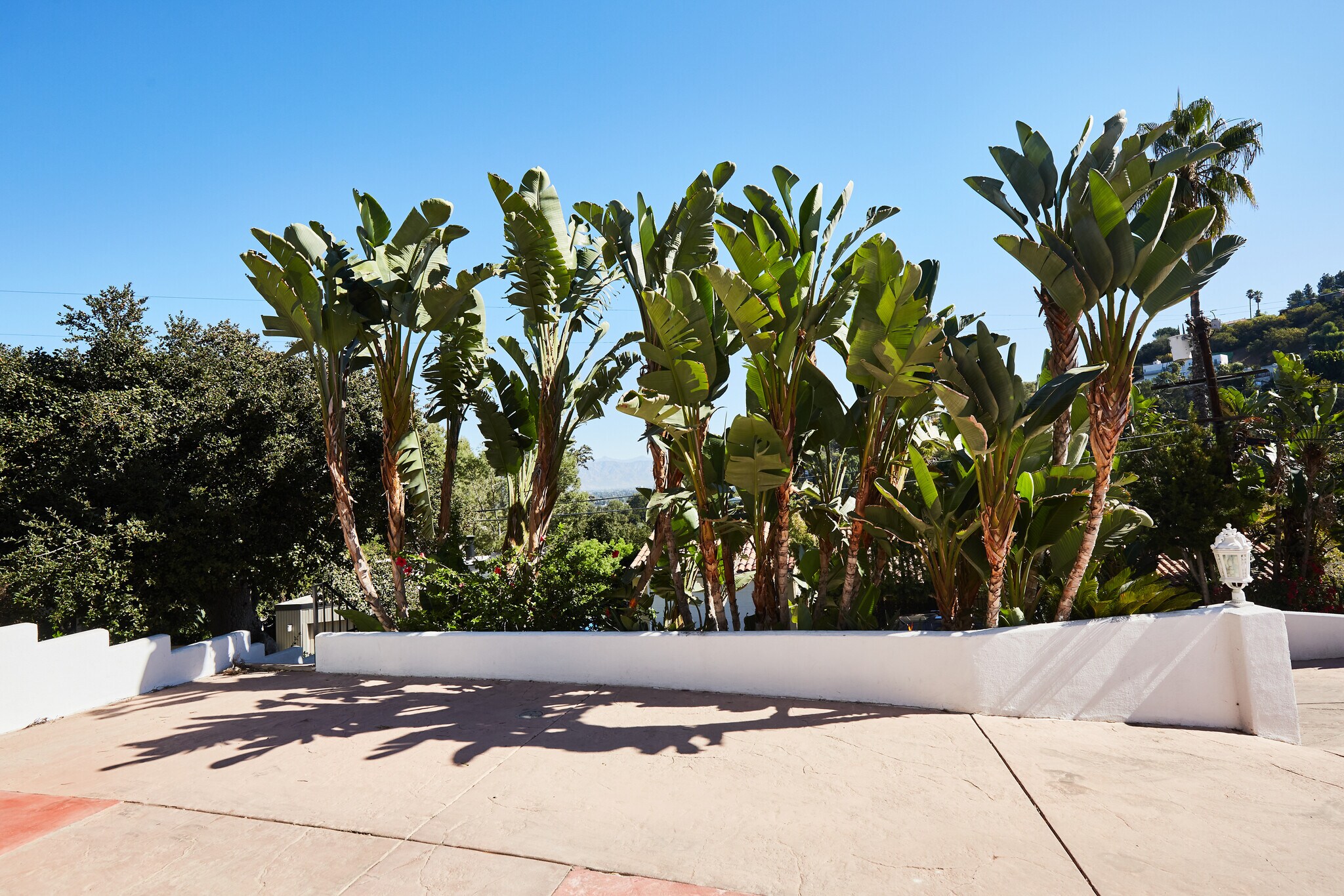 Building Photo - 4007 Sumac Dr