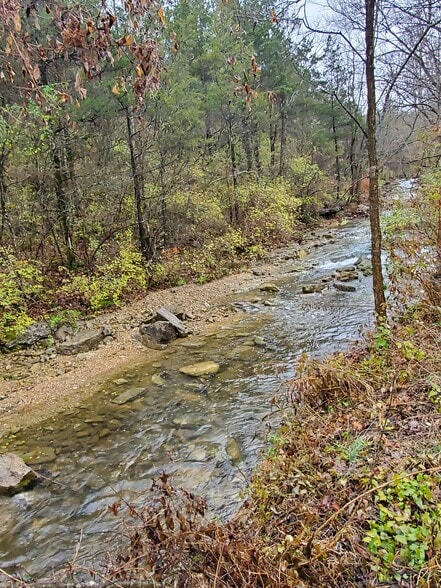 Creek view - 2974 Maple Street