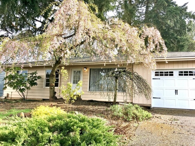 Building Photo - Wilkes Neighborhood Classic Ranch on Huge Lot with Nicely Finished Basement