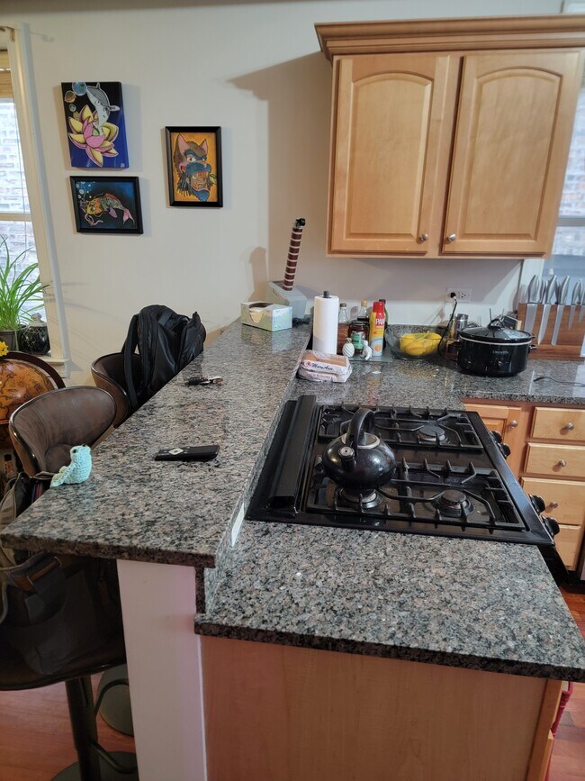 Building Photo - 7627 N Greenview Ave