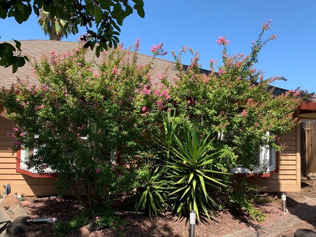 Building Photo - GRANITE BAY ~ HOME FOR RENT!