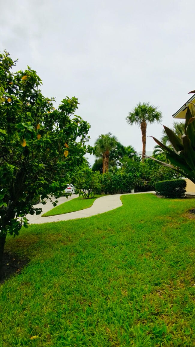 Building Photo - 1000 Palm Trail