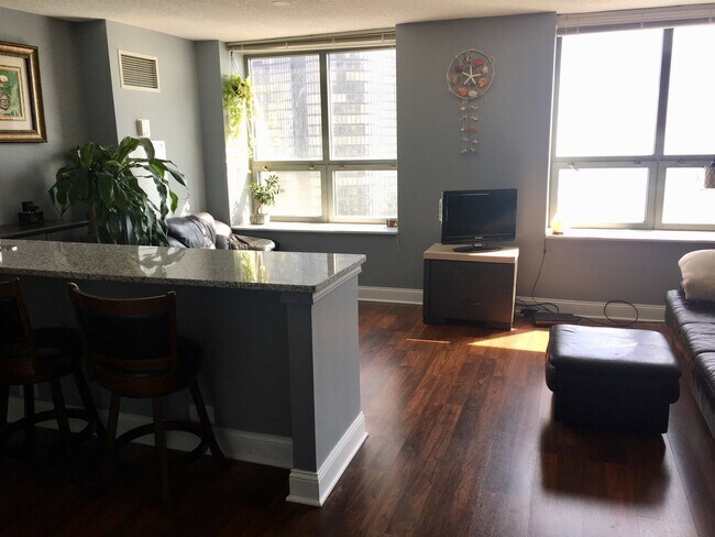 Building Photo - 474 N Lake Shore Dr