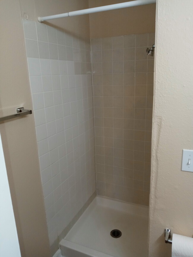 Master Shower - 5126 Williams Fork Trl