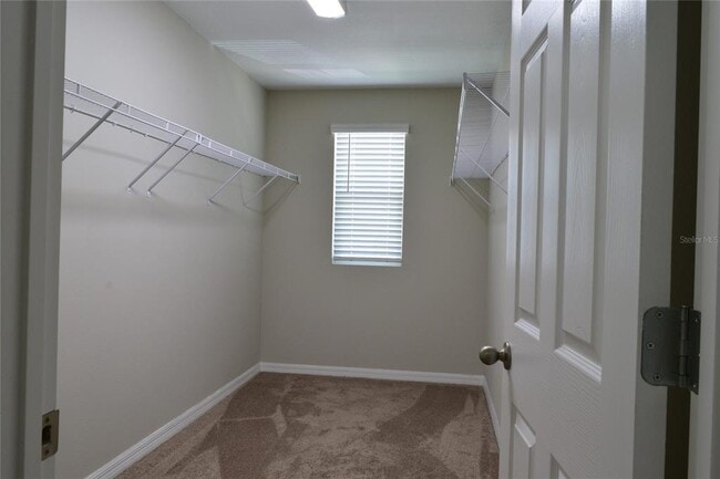 Building Photo - 34146 Scarlet Sage Ct
