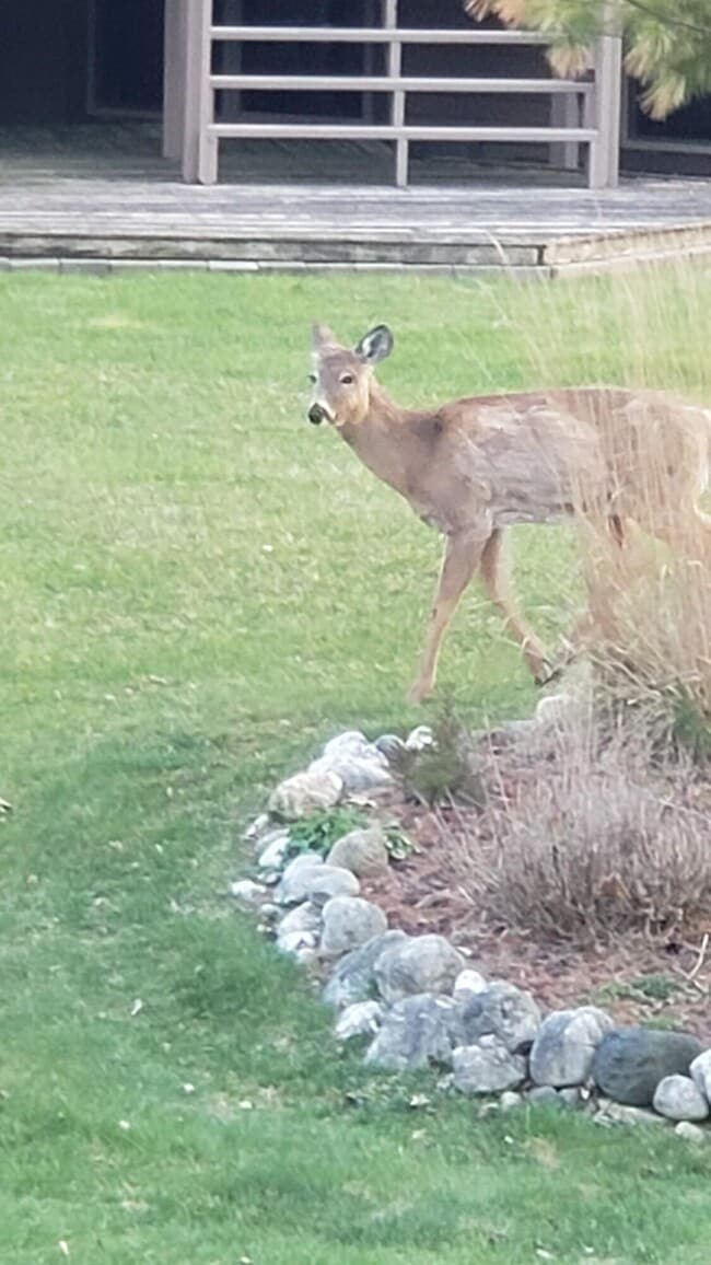 Building Photo - 607 Tamarack Dr W