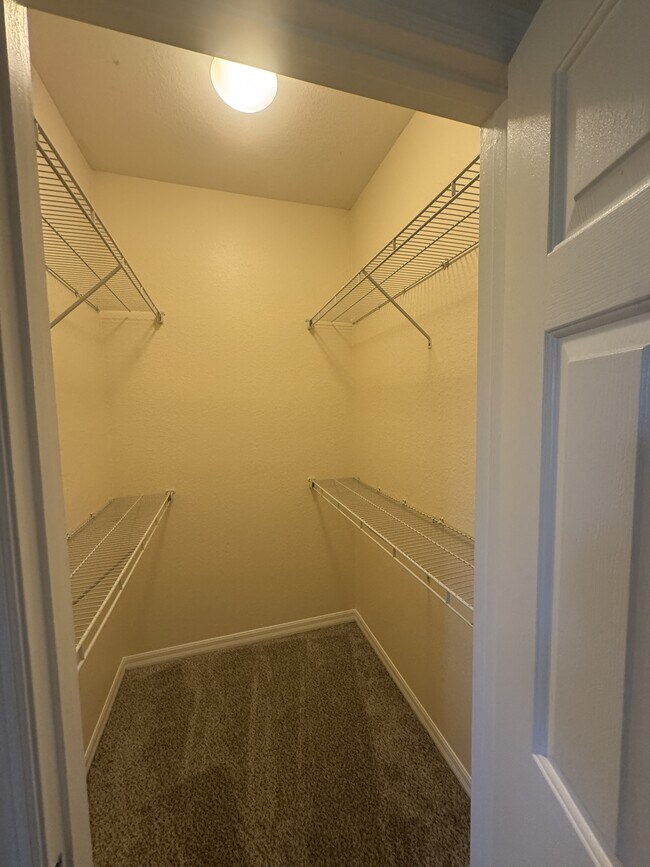 Building Photo - 1736 Coriander Dr