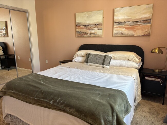 Primary bedroom with walk-in closet, calming earth tones and contemporary artwork - 3740 Santa Rosalia Dr