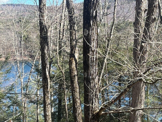 Building Photo - 105 McNamee Rd