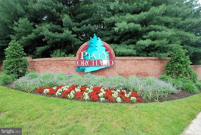 Building Photo - 705 Pine Drift Dr