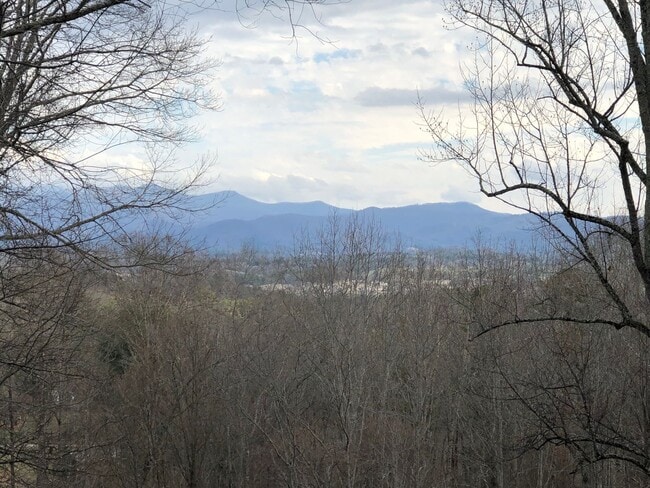 Building Photo - Adorable 2 Bedroom with Amazing Mountain Views!