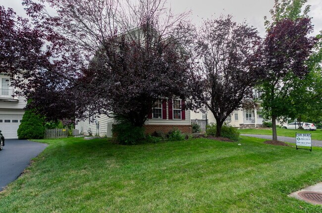 Building Photo - Spacious, Light-Filled Home in the Desirable Broadlands