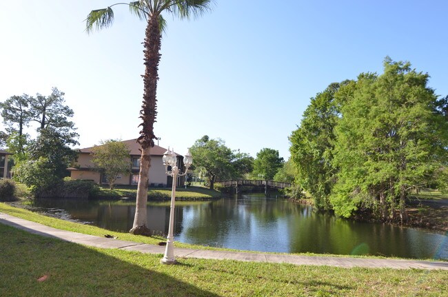 Building Photo - The Village at Indigo Lakes