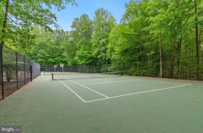 Building Photo - 7500 Tahoe Ct