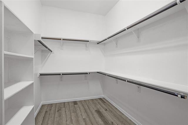 Building Photo - 5728 Fox Chase Ln