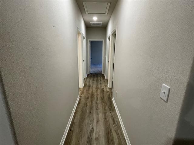 Building Photo - 2919 Peony Dr