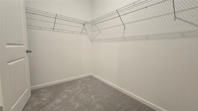 Building Photo - 2443 Grey Hawk Dr