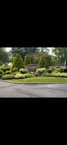 Building Photo - 81 Oakridge Dr