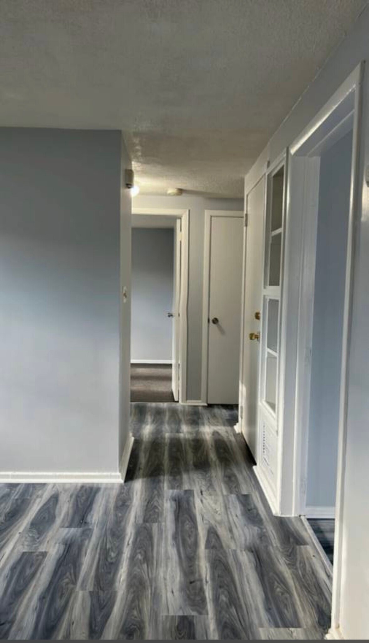 Building Photo - 101 Lily St